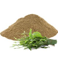 Gymnema Sylvestre leaves and powder — the sugar destroyer herb ingredient in natural blood sugar support dietary supplement