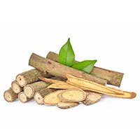 Licorice root sticks and slices with green leaves — natural metabolic and blood sugar support ingredient in dietary supplement